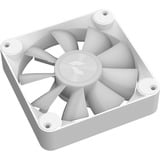 APNX FP1-120-3 Pack, Sag fan Hvid