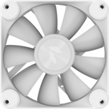 APNX FP1-120-3 Pack, Sag fan Hvid