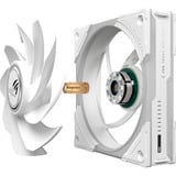 ASUS ROG Eurux GR120 ARGB, Sag fan Hvid