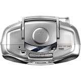 Karcher RR 510 (N), Radio Sølv/Sort