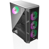 RAIJINTEK Towerkabinet Sort