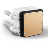 Sharkoon S60 ARGB, Vandkøling Hvid