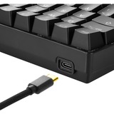 Sharkoon SGK50 S4 tastatur USB QWERTY Spansk Sort, Gaming-tastatur Sort, ES-layout, Kalih rød, 60%, USB, QWERTY, RGB LED, Sort