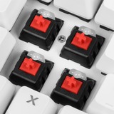 Sharkoon SKILLER SGK3 tastatur USB QWERTY Engelsk Hvid, Gaming-tastatur Hvid, Amerikansk layout, Kalih rød, Fuld størrelse (100 %), USB, Mekanisk, QWERTY, RGB LED, Hvid