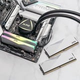 ADATA AX5U6400C3232G-DCLARWH, Hukommelse Hvid