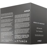 AMD 100-100001591BOX, Processor boxed