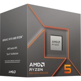 AMD Ryzen™ 5 8400F, Processor boxed