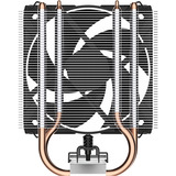 ARCTIC CPU køler 