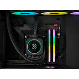 Corsair CMH32GX5M2B6000C38, Hukommelse Sort