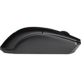 Corsair Katar Elite Wireless, Gaming mus Sort