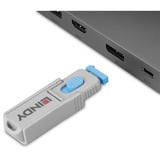 Lindy DisplayPort-portnøgle med 4 låse, Slot 