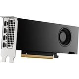 PNY NVIDIA RTX 2000 Ada Generation 16GB PB, Grafikkort 