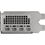 PNY NVIDIA RTX 2000 Ada Generation 16GB PB, Grafikkort 