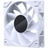 Phanteks M25G2-120 D-RGB Reverse, Sag fan Hvid