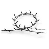 Philips Hue Hue White & Color Ambiance Festavia lyskæde 40m, Lichterkette 