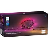 Philips Hue Hue White & Color Ambiance Festavia lyskæde 40m, Lyskæder 