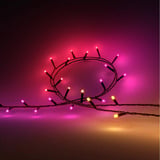 Philips Hue Hue White & Color Ambiance Festavia lyskæde 40m, Lyskæder 