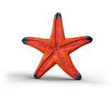 Schleich 14902, Spil figur 