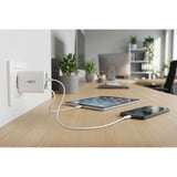 Ansmann Home Charger 230PD med kabel / 3 A / 30 W / 2 porte, Oplader Hvid