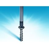 Hazet 810/6PZ, Skruetrækker Blå/Sort