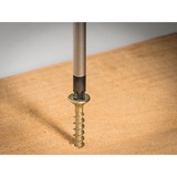Hazet 810/6PZ, Skruetrækker Blå/Sort