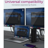 ICY BOX IB-DK2252AC, Docking station Sort