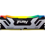 Kingston FURY Hukommelse Sølv/Sort
