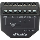 Shelly Persienne, Relay Sort