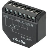 Shelly Persienne, Relay Sort