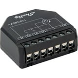 Shelly Persienne, Relay Sort