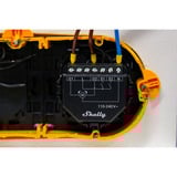 Shelly Persienne, Relay Sort