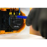 Shelly Persienne, Relay Sort