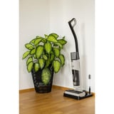 gorenje NEOCLEAN SFC216100G, Våd / tør støvsuger 