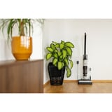 gorenje NEOCLEAN SFC216100G, Våd / tør støvsuger 