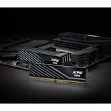 ADATA AX5U5600C4616G-DTLABBK, Hukommelse Sort