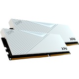 ADATA LANCER hukommelsesmodul 32 GB 2 x 16 GB DDR5 Hvid, 32 GB, 2 x 16 GB, DDR5, 6400 MHz