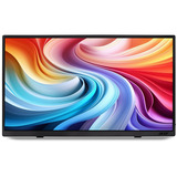 Acer PM161QT, LED-skærm Sort