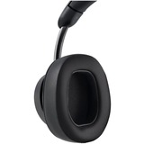 Kensington H3000, Headset Sort
