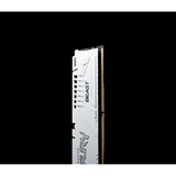 Kingston FURY KF552C40BW-32, Hukommelse Hvid