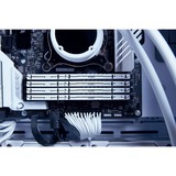 Kingston FURY KF552C40BW-32, Hukommelse Hvid