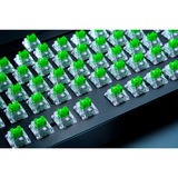 Razer Green Switch-Set, Nøglekontakt Grøn/gennemsigtig