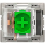 Razer Green Switch-Set, Nøglekontakt Grøn/gennemsigtig