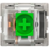Razer Key switch Grøn/gennemsigtig