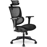 Sharkoon OfficePal C40, Stol Sort