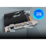 Sonnet G10E-USBC-M2-E, Interface card 