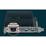 Sonnet McFiver 10GBASE-T, Interface card 