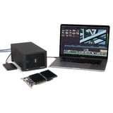 Sonnet McFiver 10GBASE-T, Interface card 