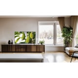 TCL 40S5L, QLED TV Sort