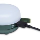 Black Diamond BD6206853054ALL1, LED lys mørk grøn