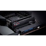 G.Skill F5-5600J4040D48GX2-FX5, Hukommelse Sort
